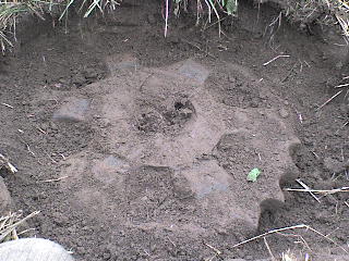 DSC00040.JPG