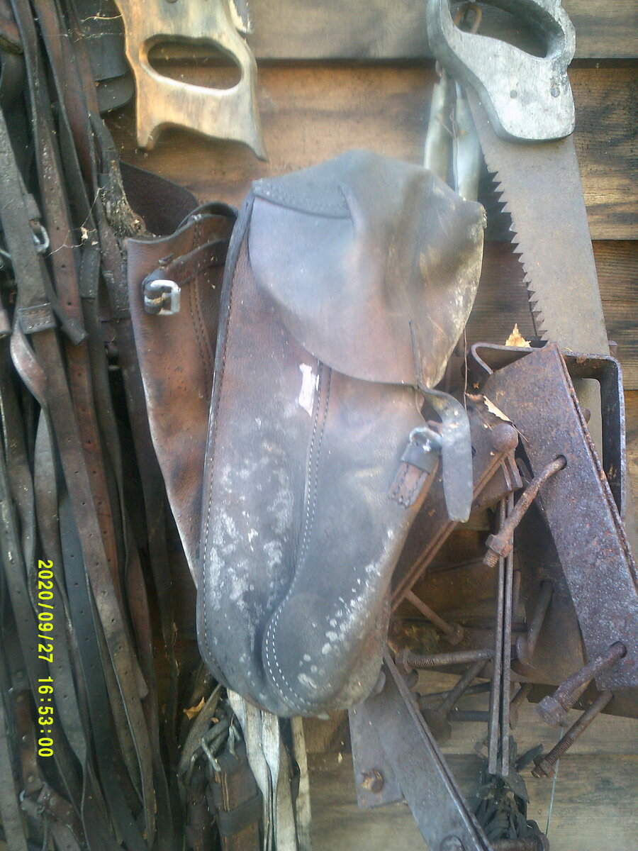 DSCF0894.JPG