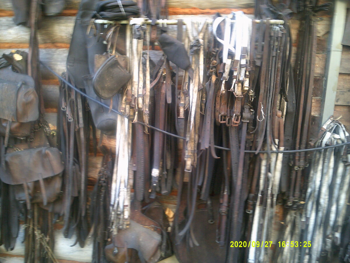 DSCF0899.JPG