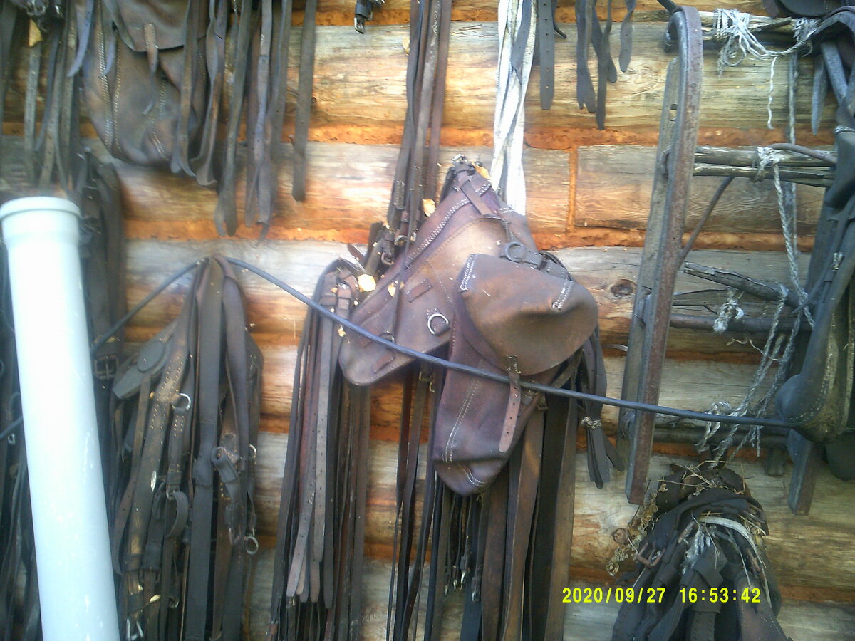 DSCF0903.JPG