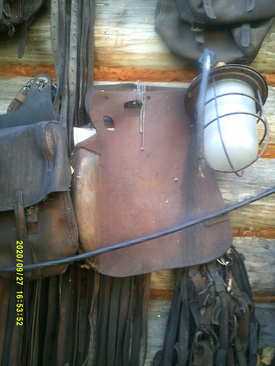 DSCF0905.JPG