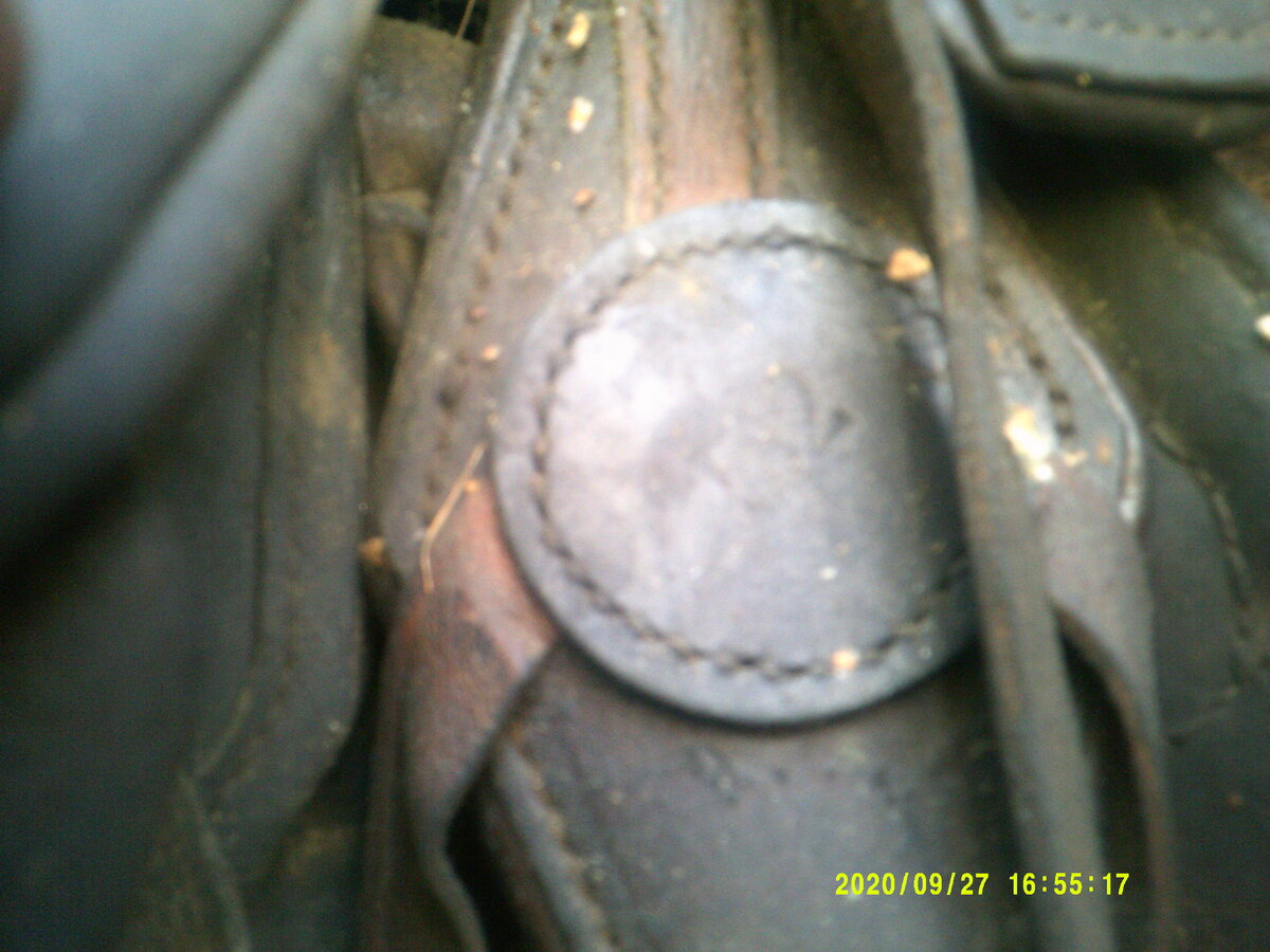 DSCF0913.JPG
