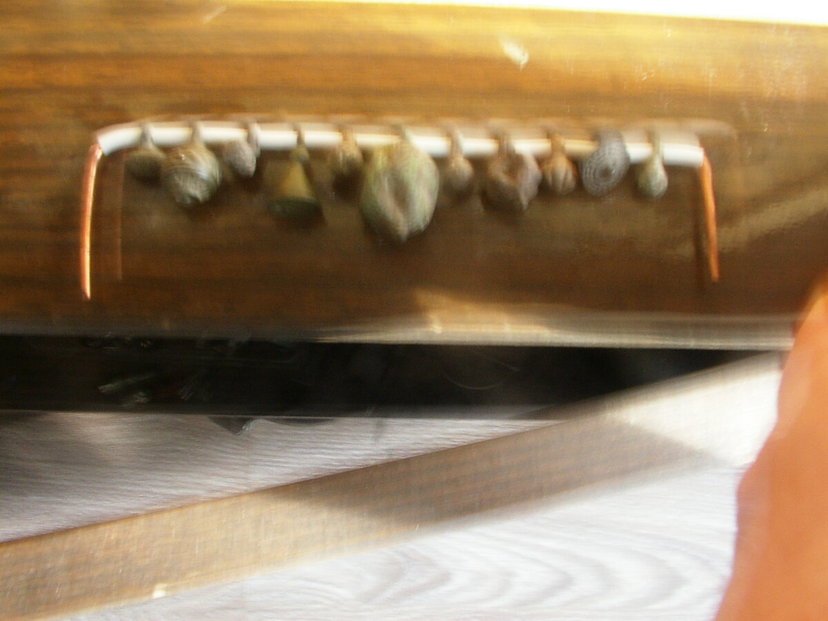 IMGP5740.JPG