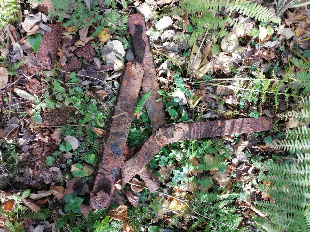 IMG-20201002-WA0067.jpg
