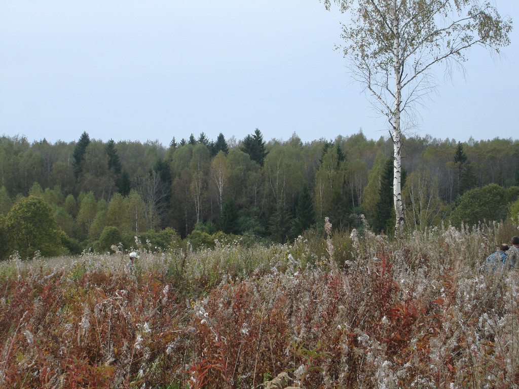 IMG_20201011_113844.jpg