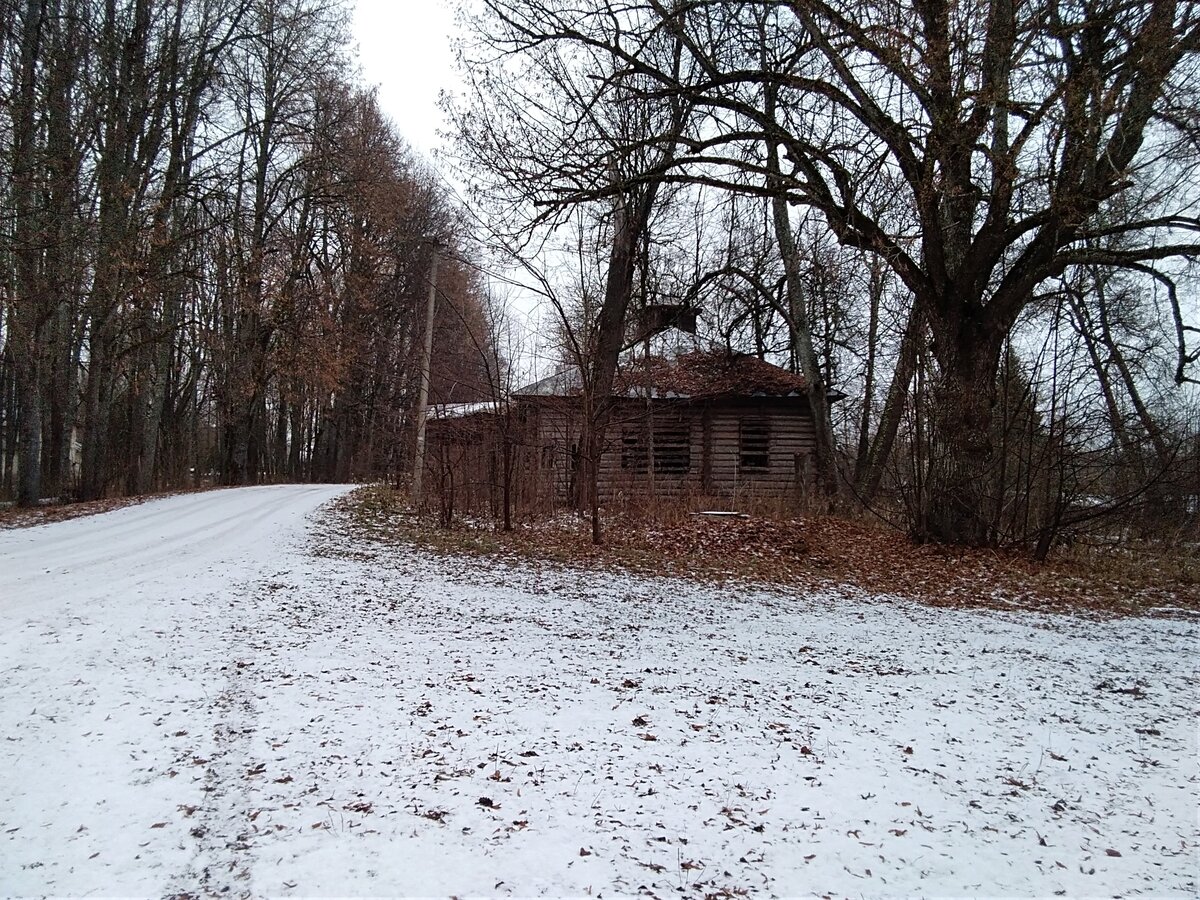 IMG_20181118_121652.jpg