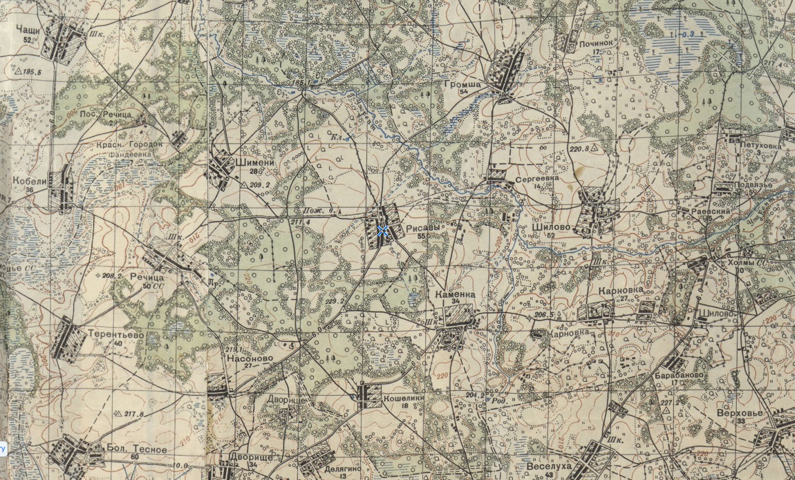 Рисавы 1941 карта.jpg