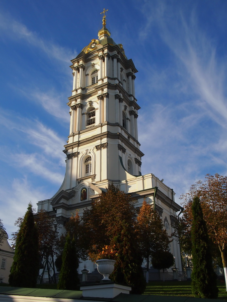 P1010288.jpg