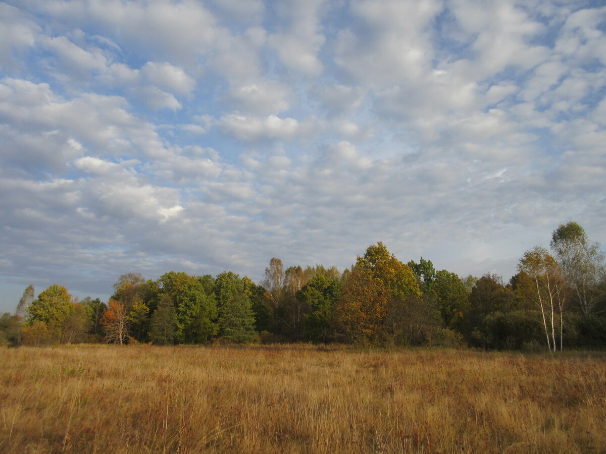 IMG_5660.JPG