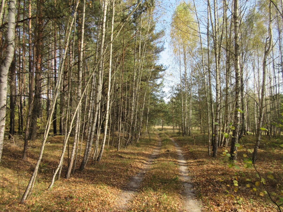 IMG_5745.JPG
