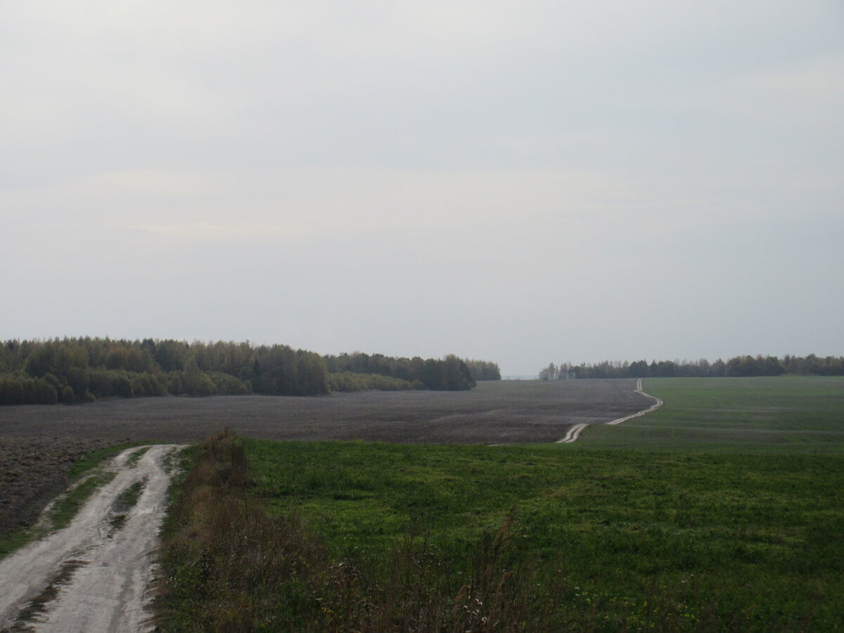 IMG_5866.JPG