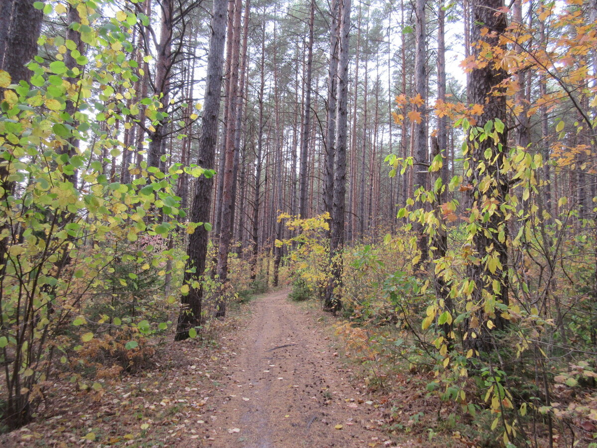 IMG_5909.JPG