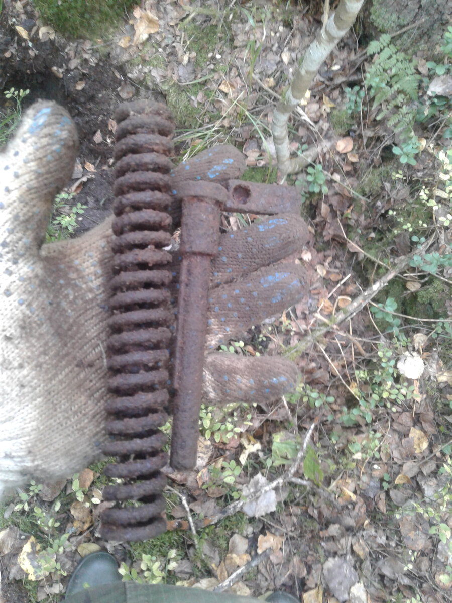 20201004_110217.jpg