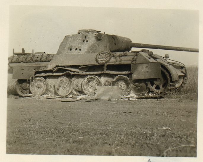 panther.jpg