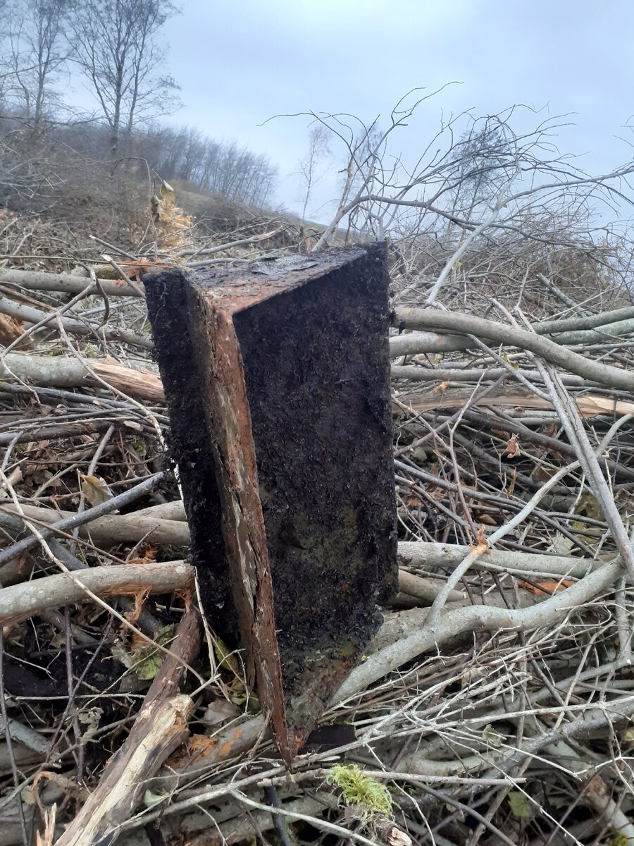 20201029_155227.jpg