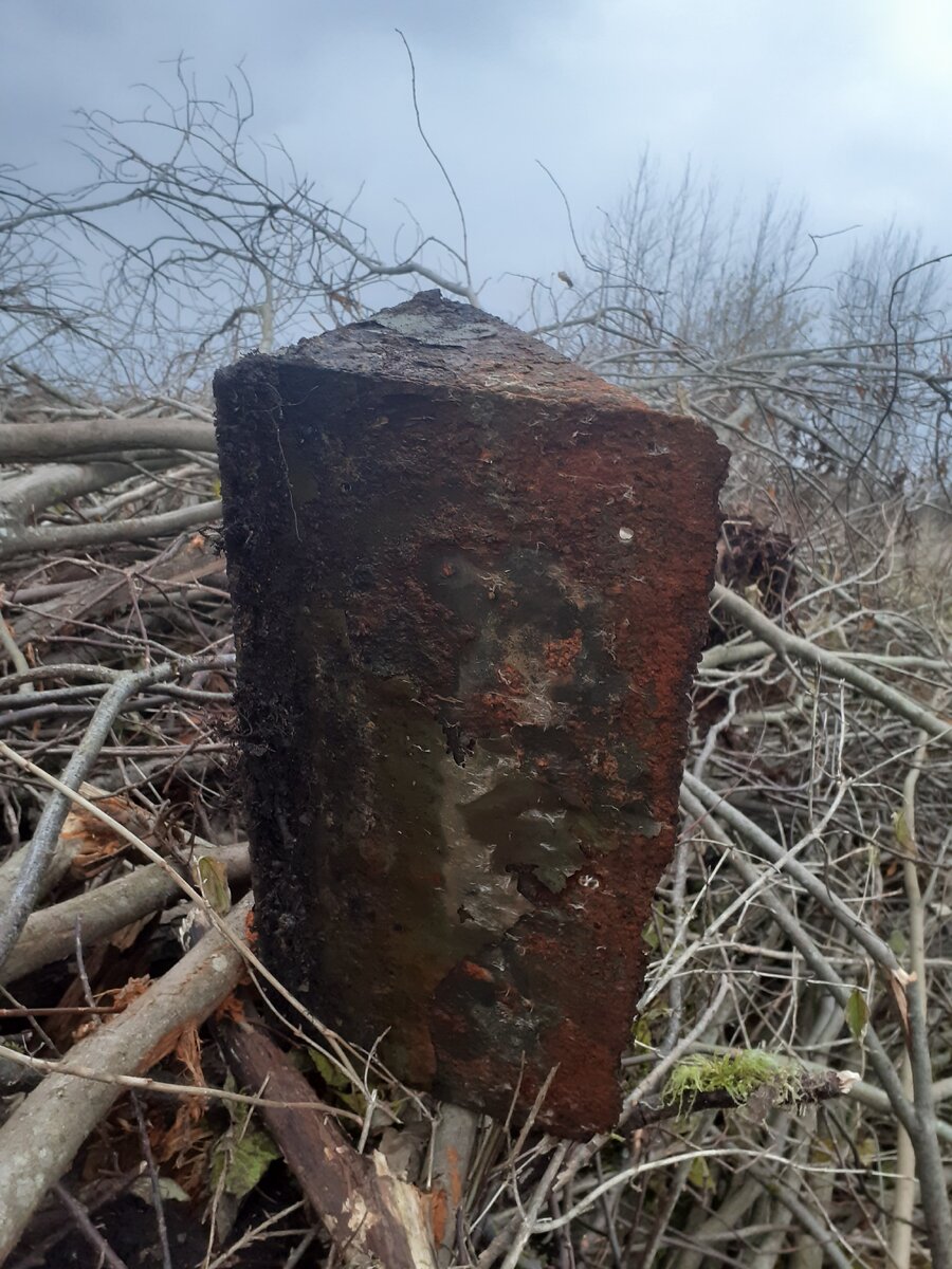 20201029_155234.jpg