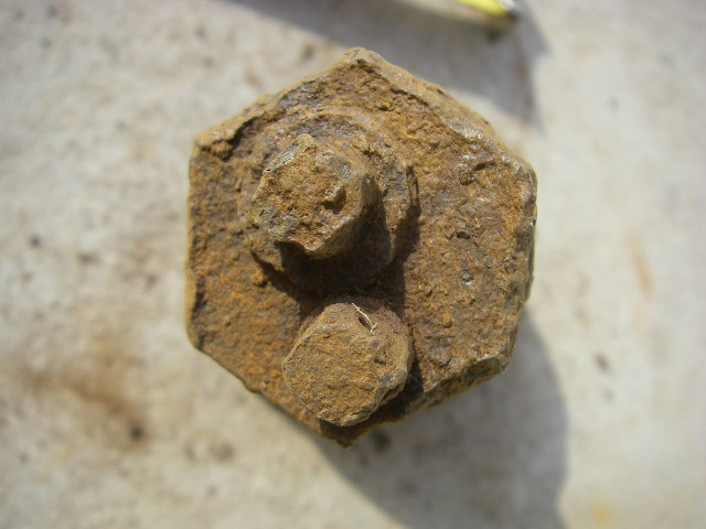 IMGP7678.JPG