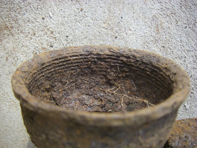 IMGP7688.JPG