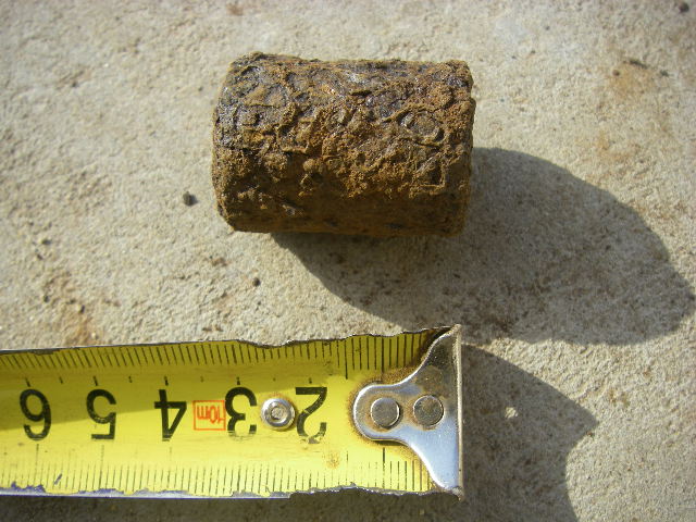 IMGP7691.JPG