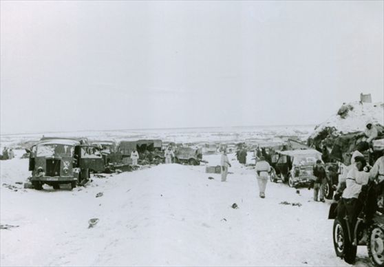 03-fv-31-ritirata-russia_2918024.jpg