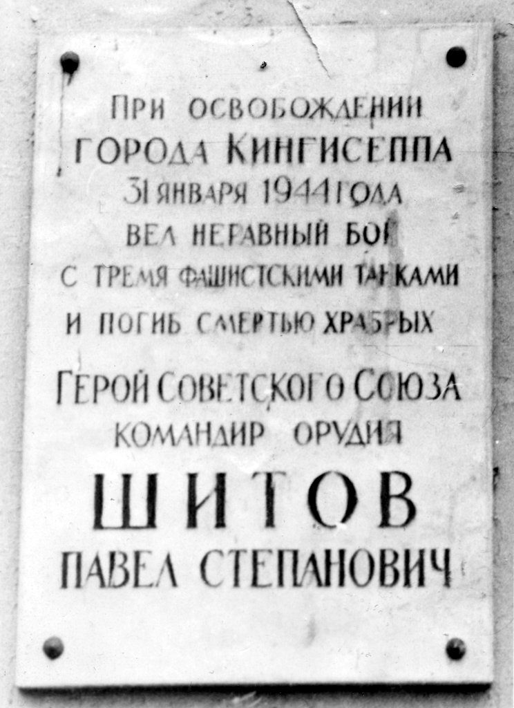 Top-002.jpg