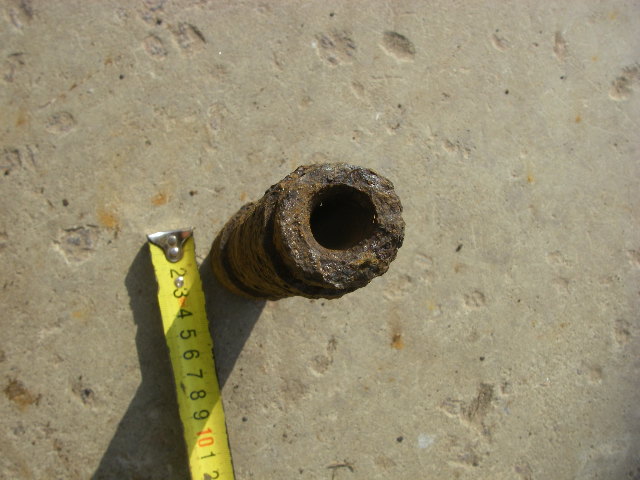 IMGP7701.JPG