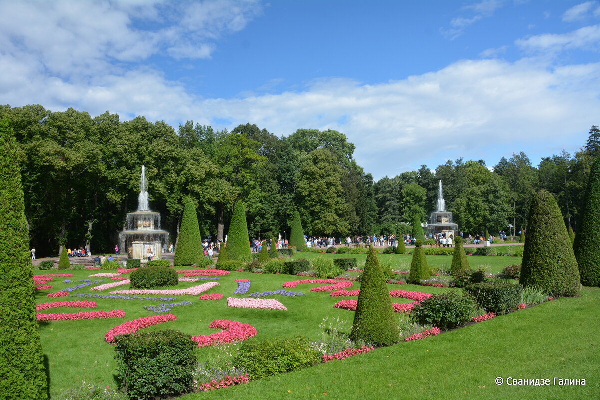 DSC_8612.JPG