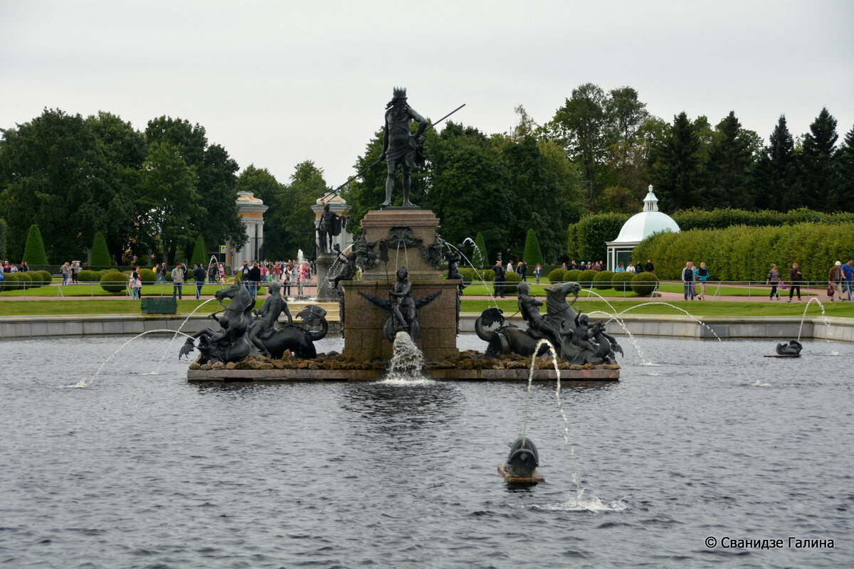 DSC_9046.JPG