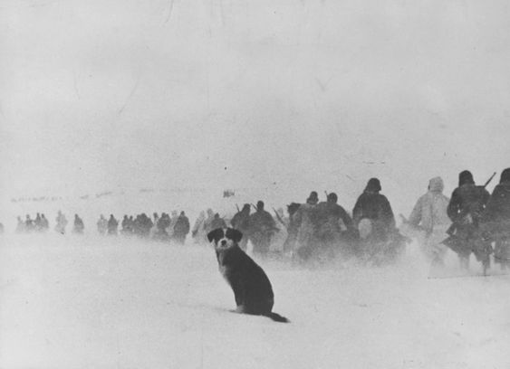 1f3b428d3f8c6722758f013cc69f408f--world-war-more.jpg