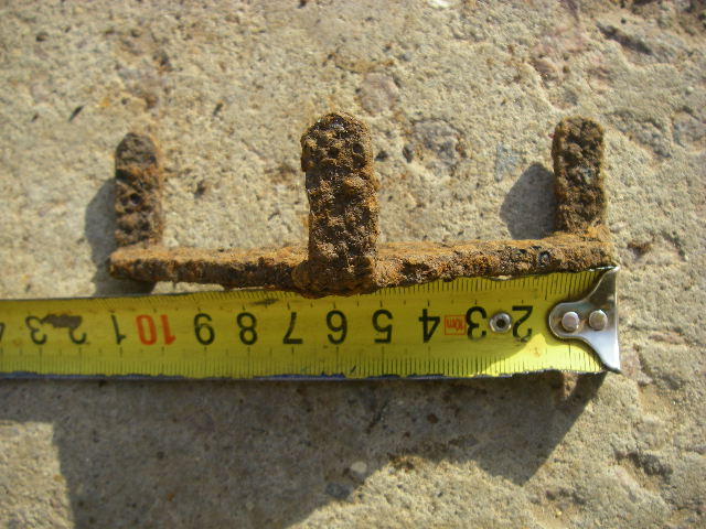 IMGP7868.JPG