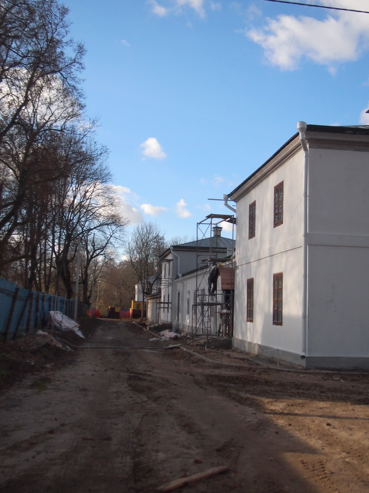 P1010497.jpg