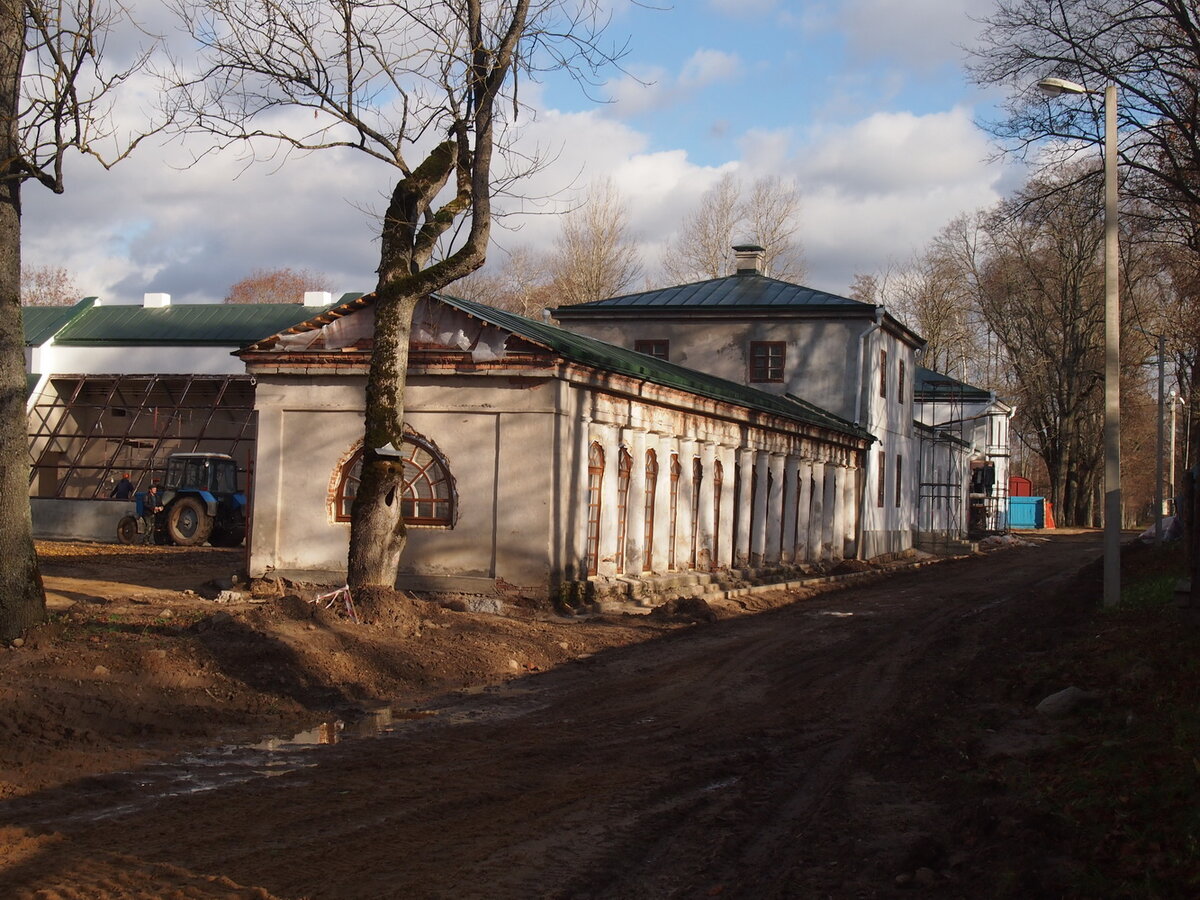 P1010499.jpg