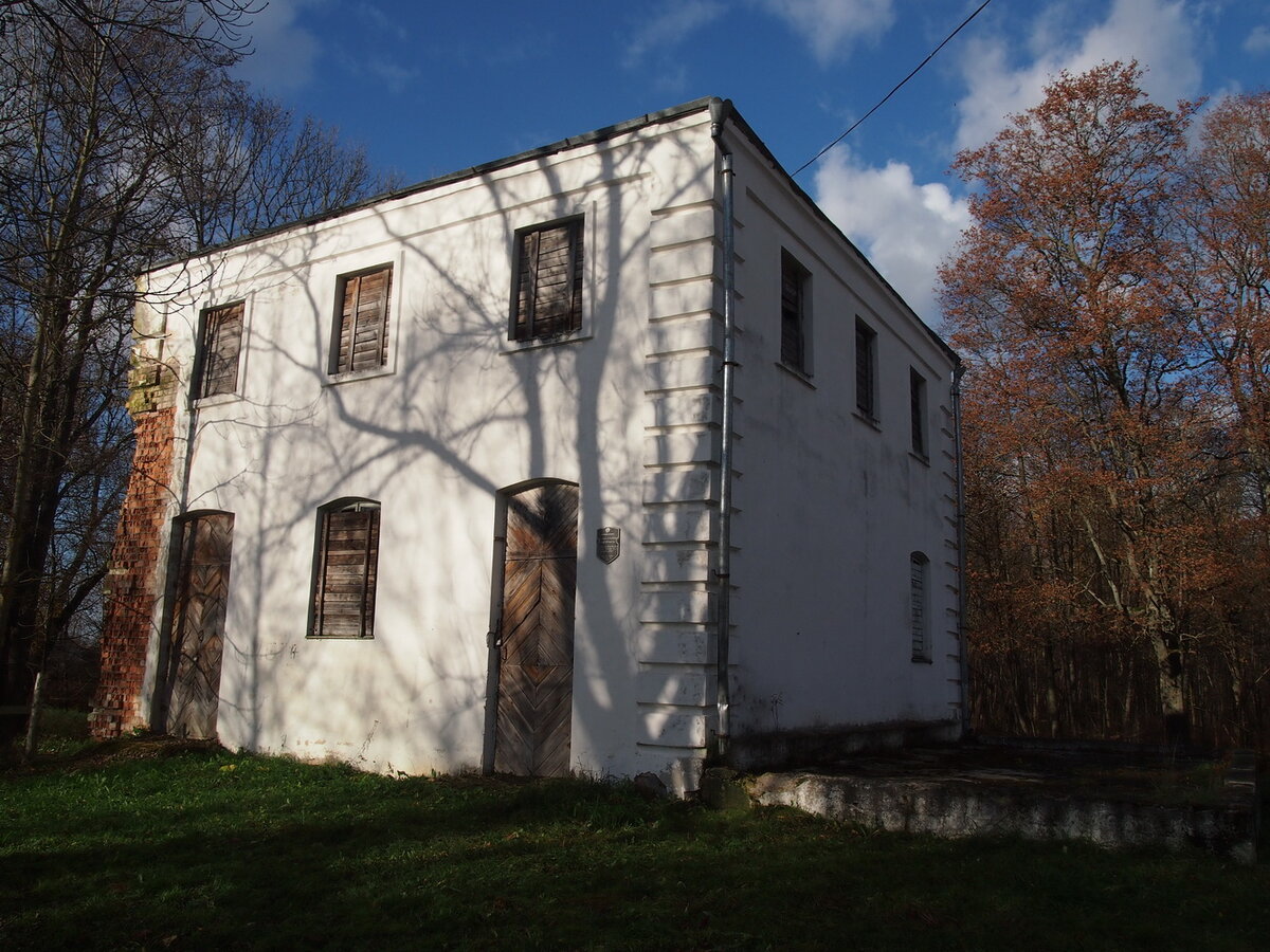 P1010500.jpg