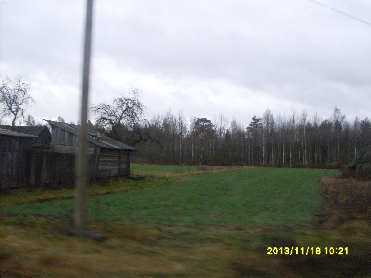 SDC19150.JPG