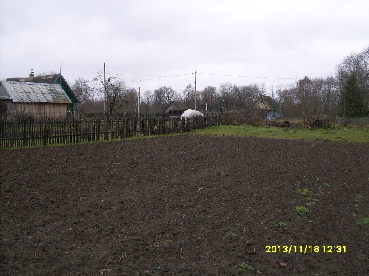 SDC19159.JPG