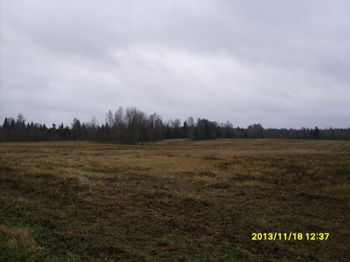 SDC19163.JPG