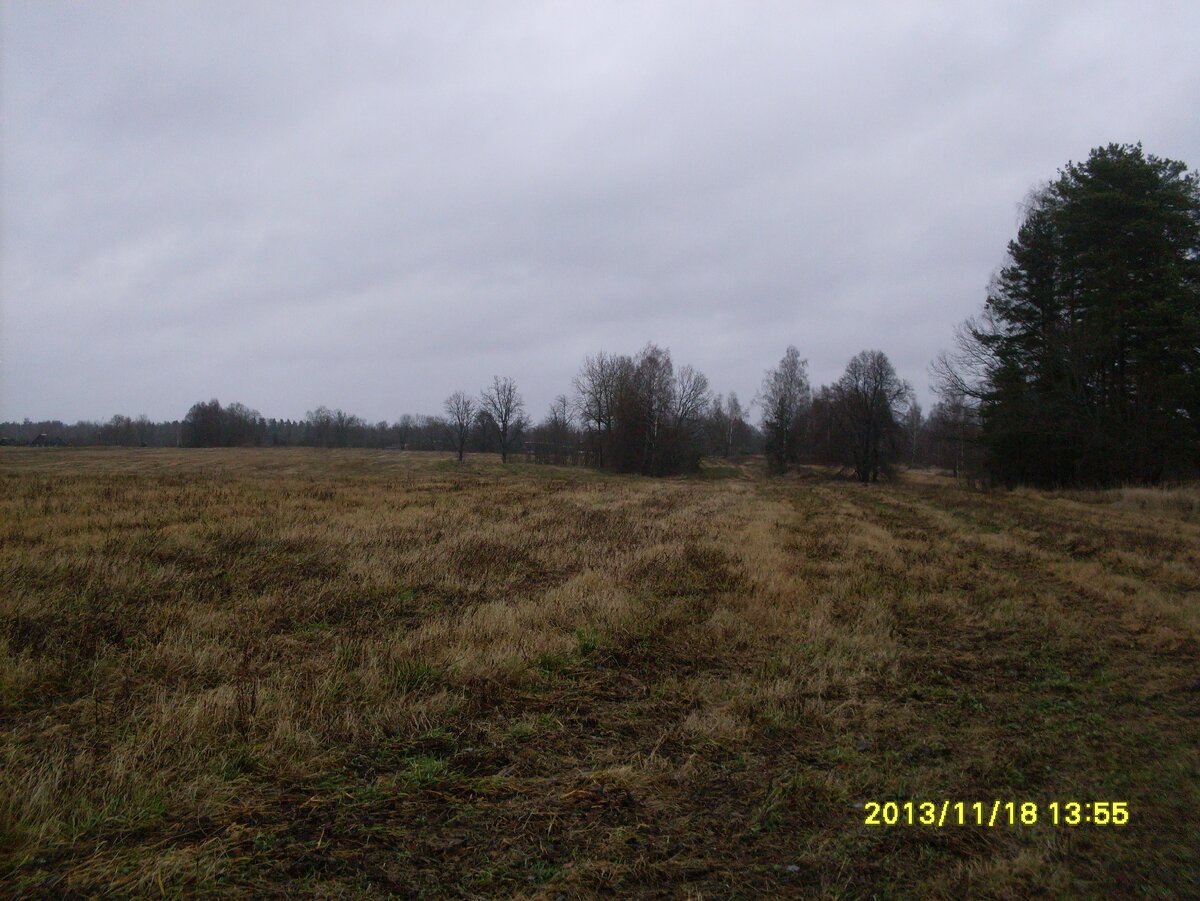 SDC19168.JPG