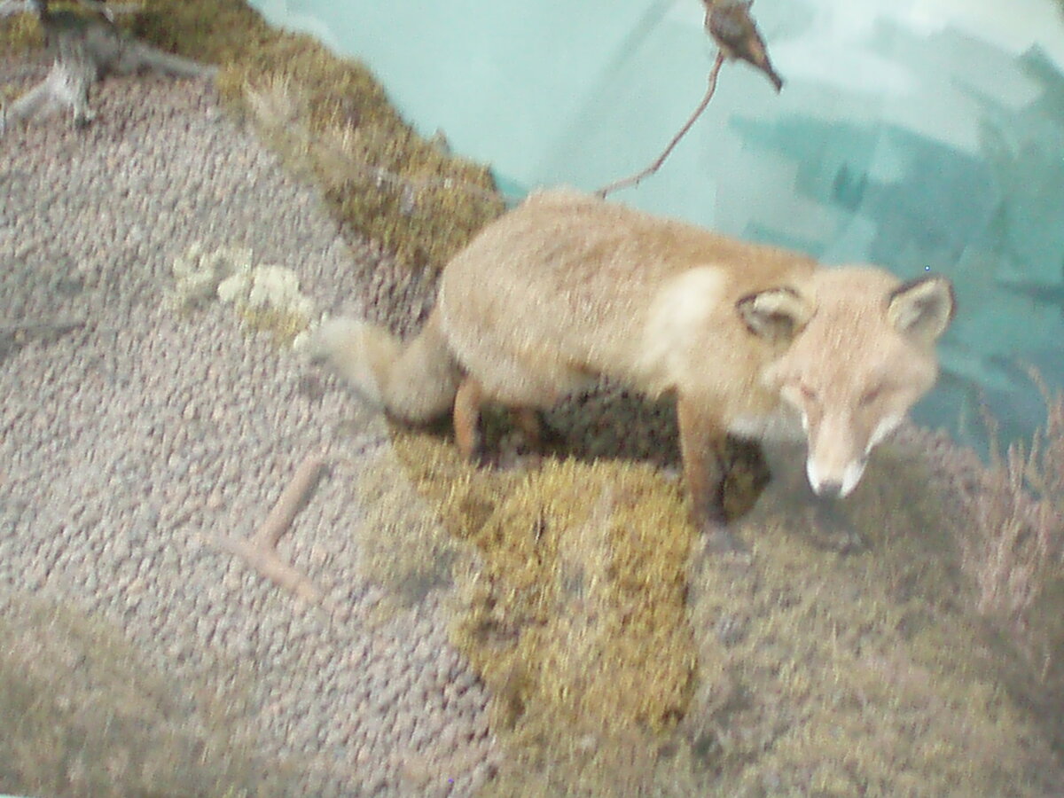 -ноябрь2013 187.jpg