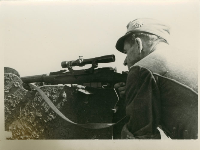 dd17.jpg