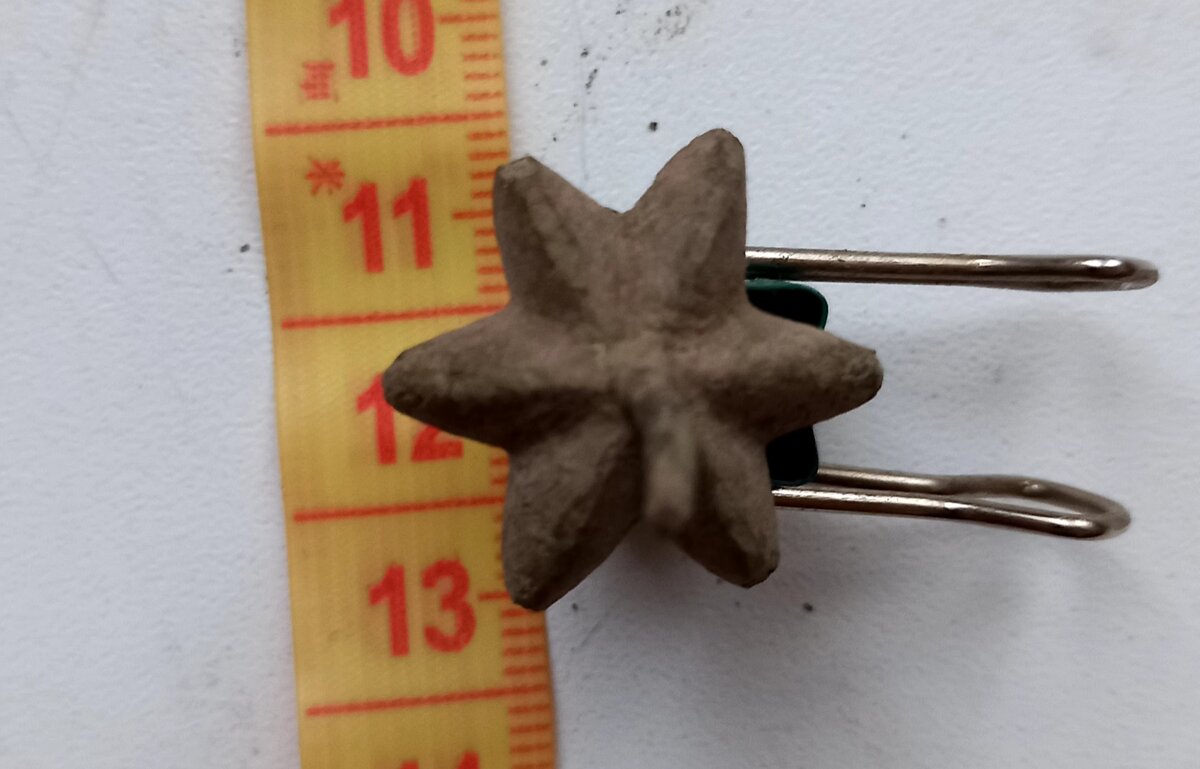 20201119_094909.jpg
