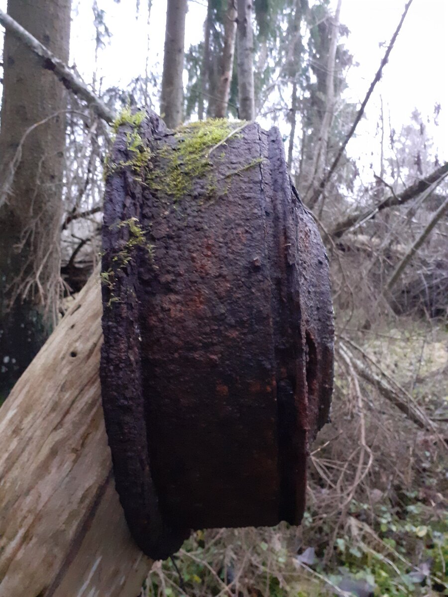 20201128_100542.jpg