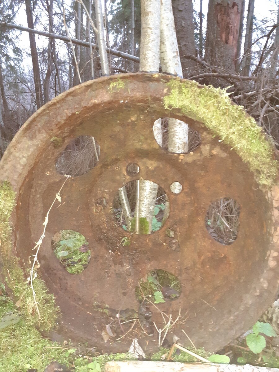 20201128_100623.jpg
