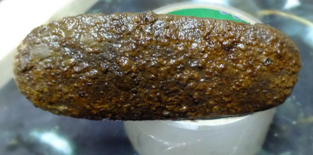 DSCF7821.JPG