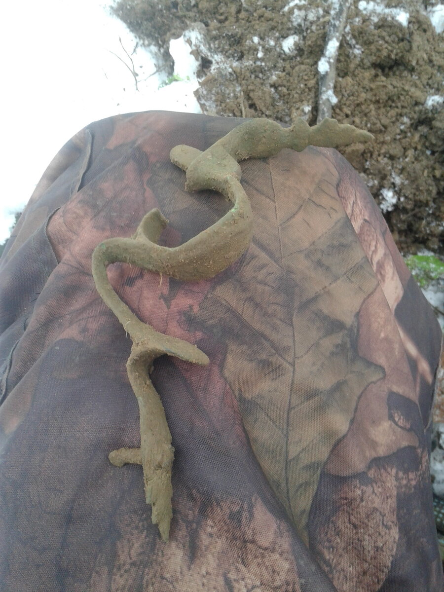 20201205_114932.jpg