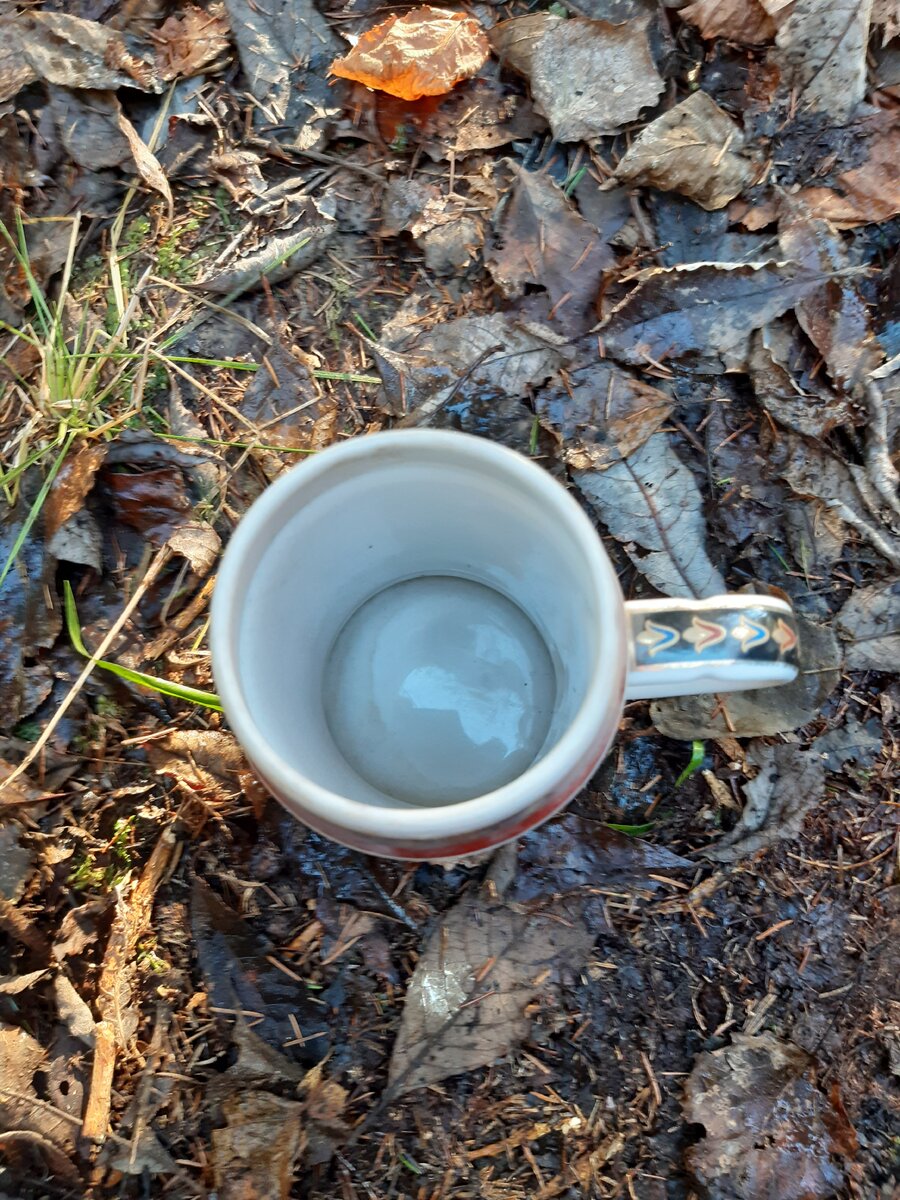 20201206_141057.jpg