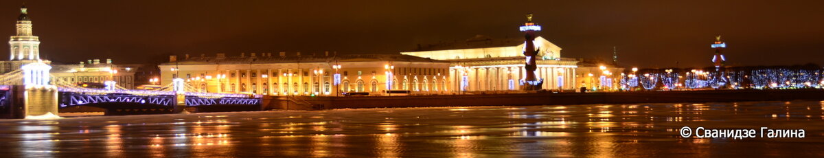 DSC_2009.JPG