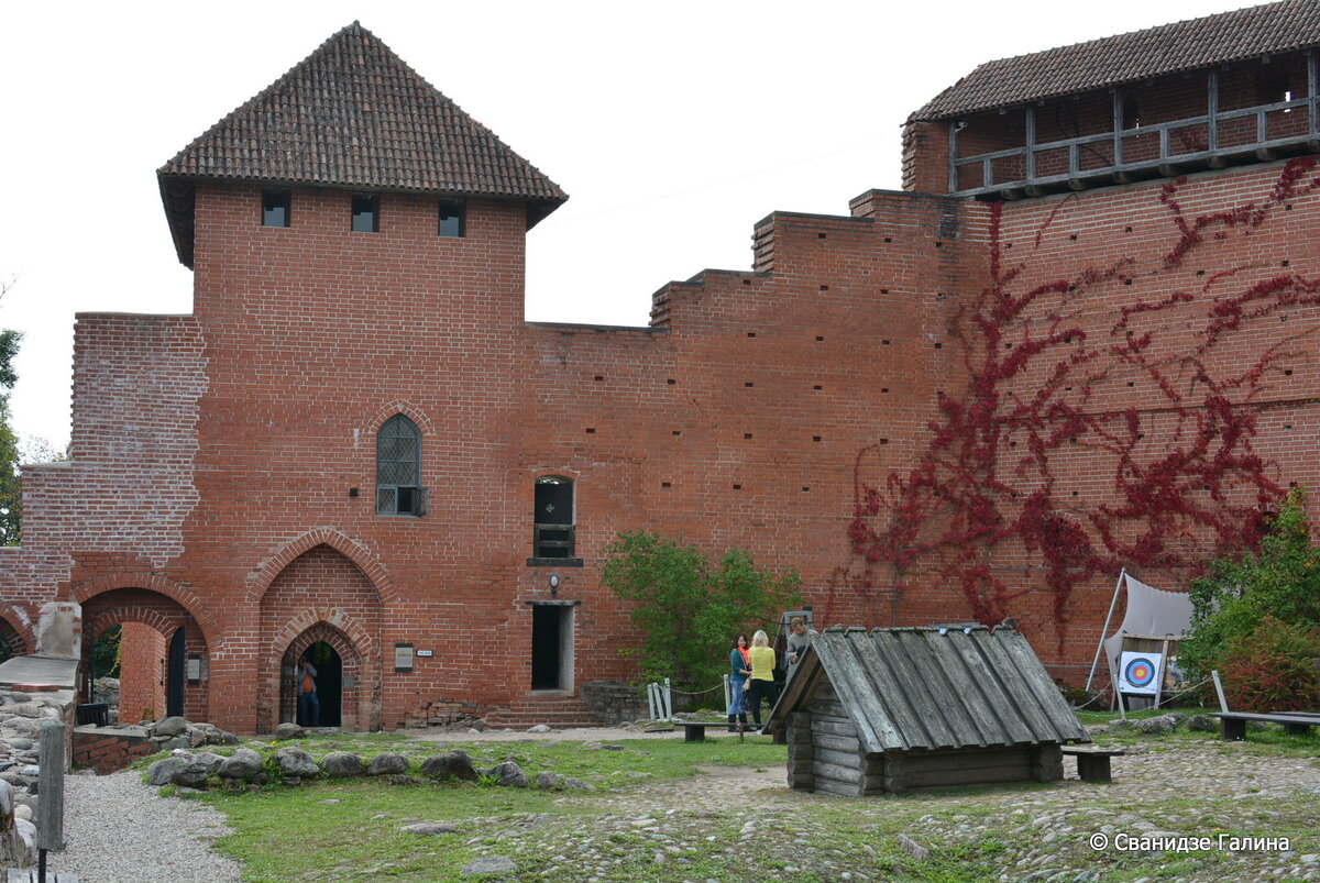 DSC_5416.JPG