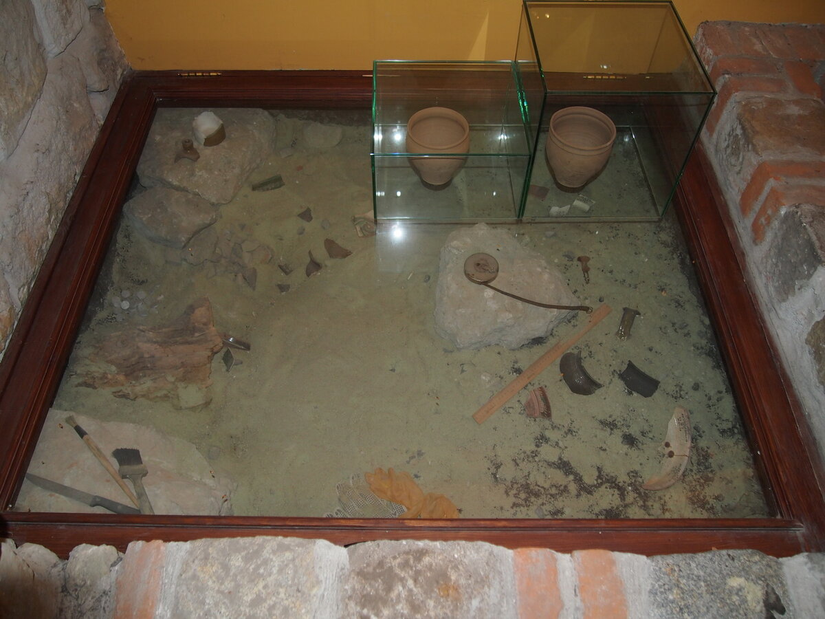 P1010036.jpg