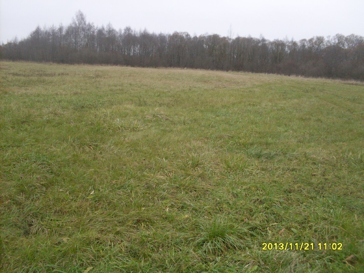 SDC19194.JPG