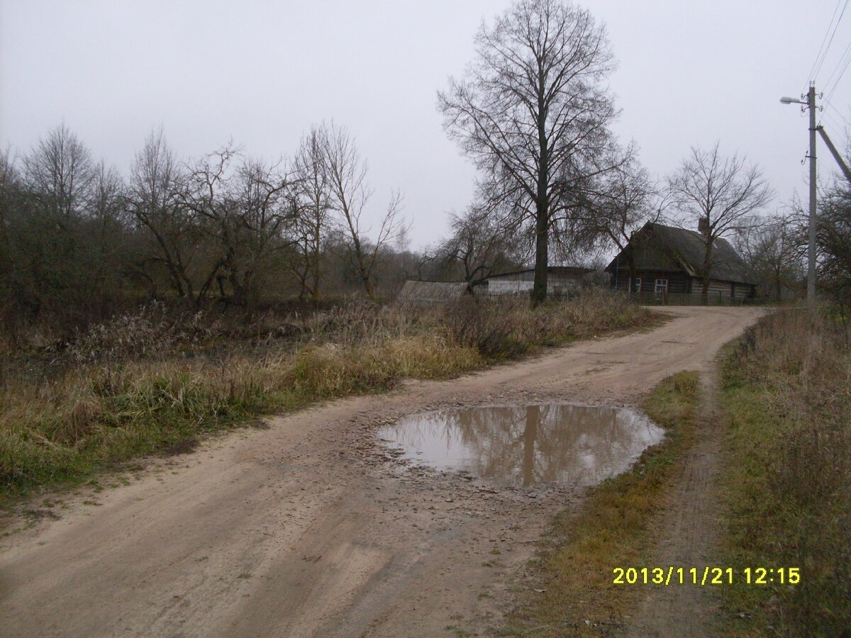 SDC19197.JPG